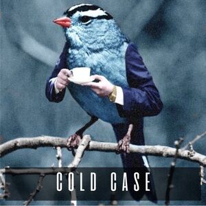 COLD CASE